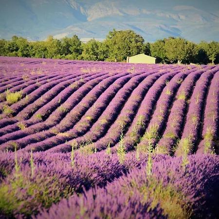 Bed & Breakfast D'hotes Elisa & Etienne