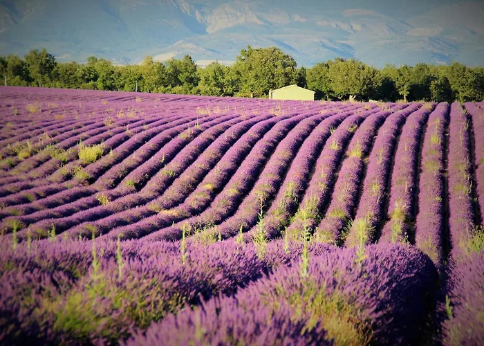 住宿加早餐酒店 D'hotes Elisa & Etienne